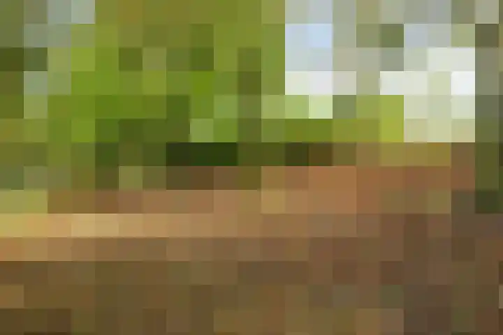 Hertenlaan 14 Silvolde thumbnail 5