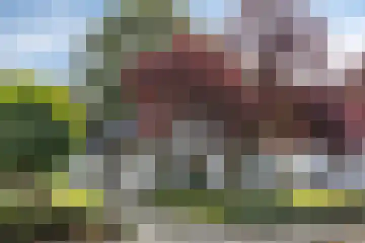 Hertenlaan 14 Silvolde thumbnail 7