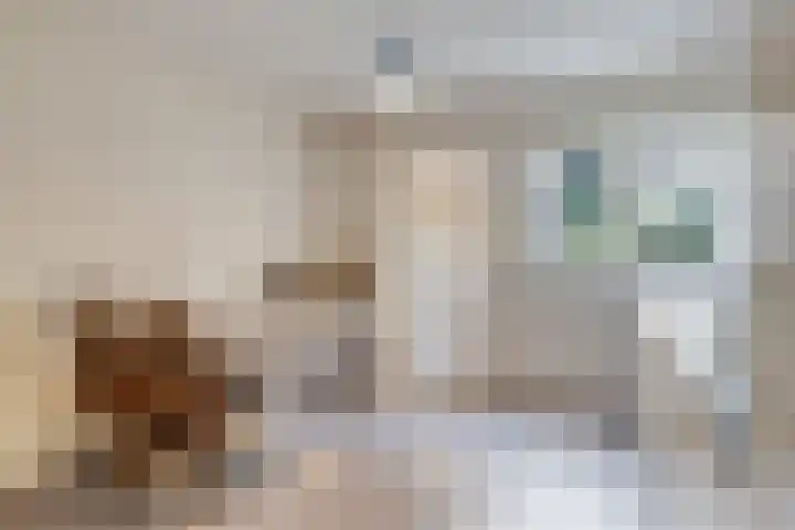 Hertenlaan 14 Silvolde thumbnail 9