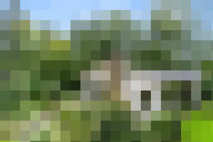 Hertenlaan 15 Wageningen thumbnail 10
