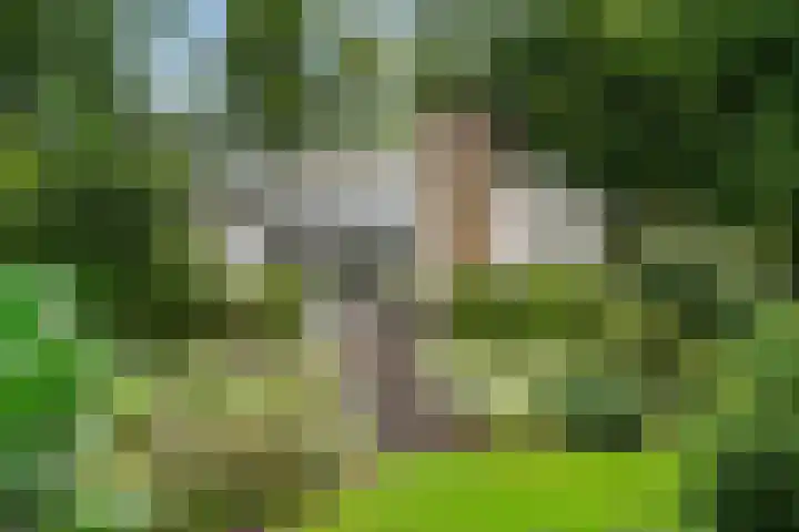 Hertenlaan 15 Wageningen thumbnail 11