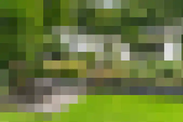 Hertenlaan 15 Wageningen thumbnail 12