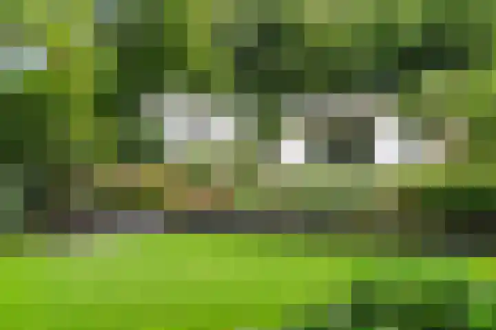 Hertenlaan 15 Wageningen thumbnail 13