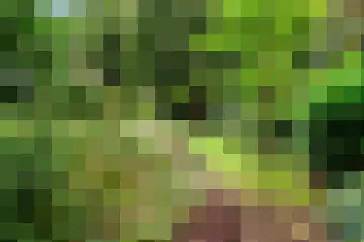 Hertenlaan 15 Wageningen thumbnail 15