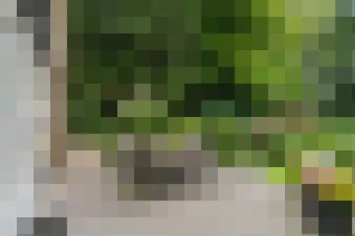 Hertenlaan 15 Wageningen thumbnail 16