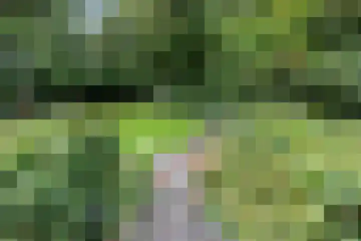 Hertenlaan 15 Wageningen thumbnail 17