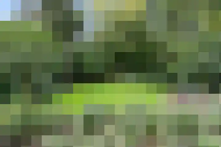 Hertenlaan 15 Wageningen thumbnail 18