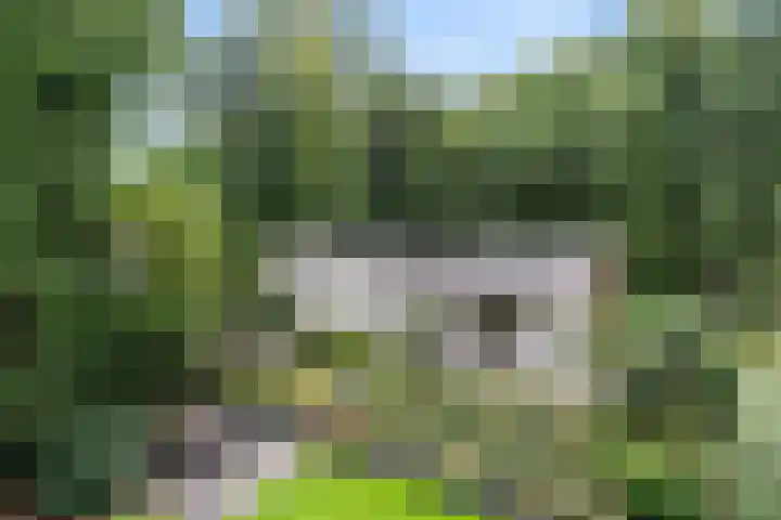 Hertenlaan 15 Wageningen thumbnail 20