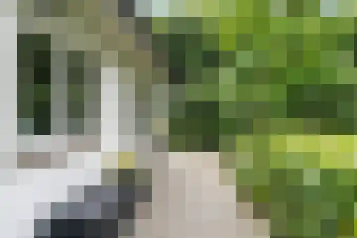 Hertenlaan 15 Wageningen thumbnail 22