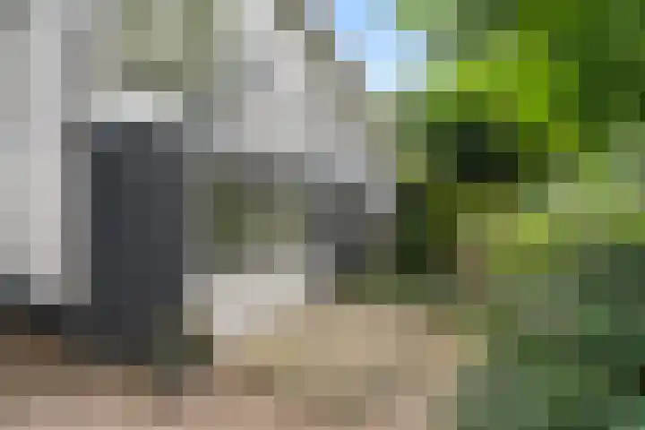 Hertenlaan 15 Wageningen thumbnail 23