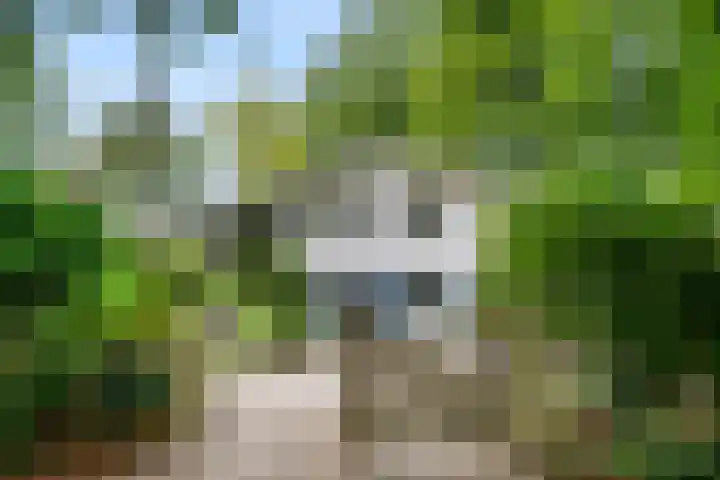 Hertenlaan 15 Wageningen thumbnail 5