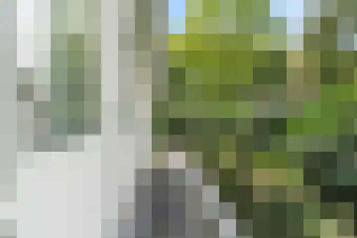 Hertenlaan 15 Wageningen thumbnail 50