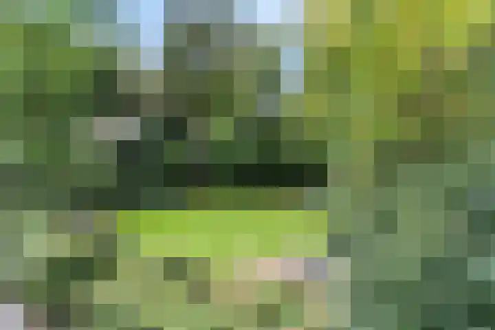 Hertenlaan 15 Wageningen thumbnail 51