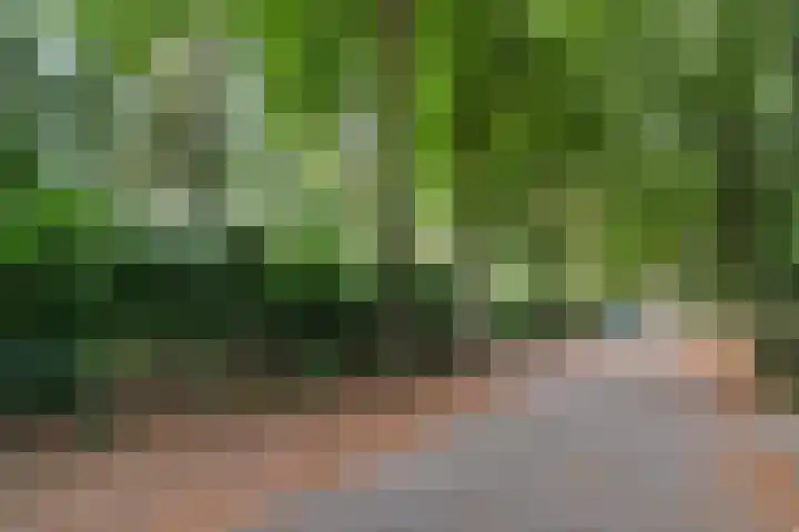 Hertenlaan 15 Wageningen thumbnail 6