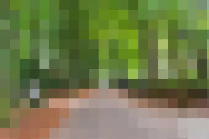 Hertenlaan 15 Wageningen thumbnail 7