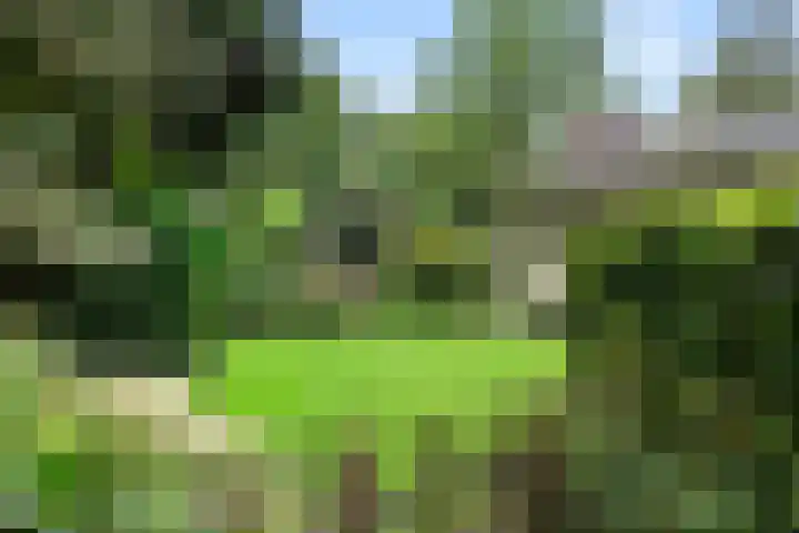 Hertenlaan 15 Wageningen thumbnail 9