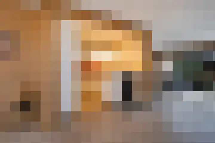 Hertenlaan 17 Lunteren thumbnail 11