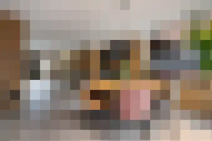 Hertenlaan 17 Lunteren thumbnail 16
