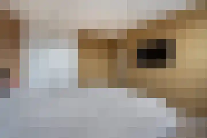 Hertenlaan 17 Lunteren thumbnail 22