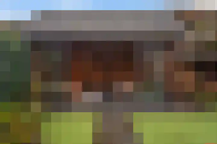Hertenlaan 17 Lunteren thumbnail 37