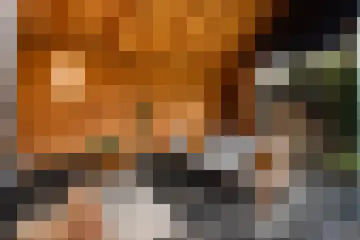 Hertenlaan 17 Lunteren thumbnail 39