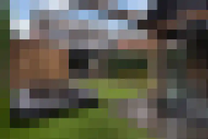 Hertenlaan 17 Lunteren thumbnail 41