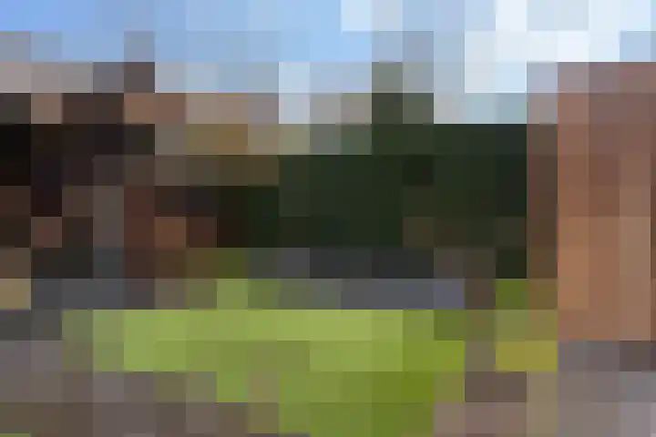 Hertenlaan 17 Lunteren thumbnail 42