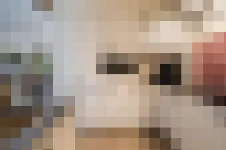 Hertenlaan 17 Lunteren thumbnail 9