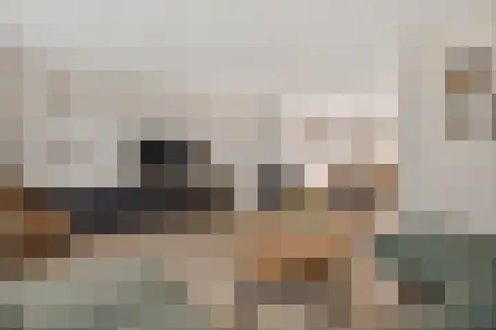 Hertenlaan 18 Assen thumbnail 10
