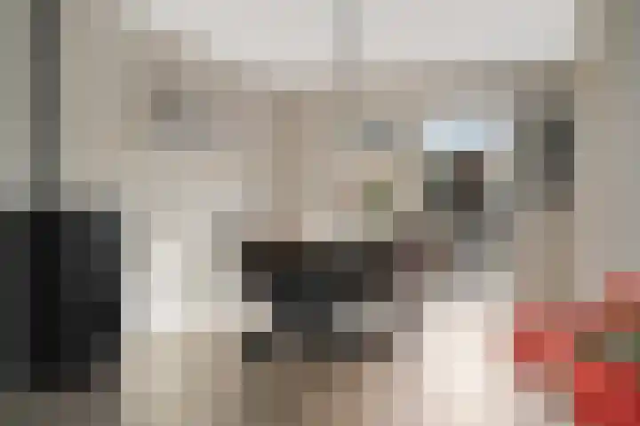 Hertenlaan 18 Assen thumbnail 12