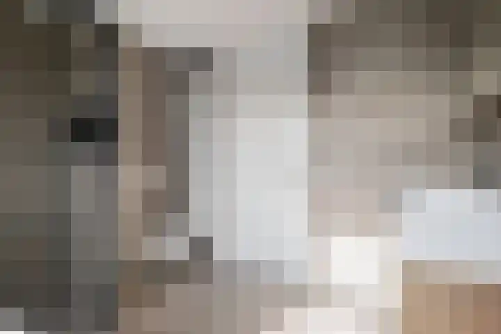 Hertenlaan 18 Assen thumbnail 21