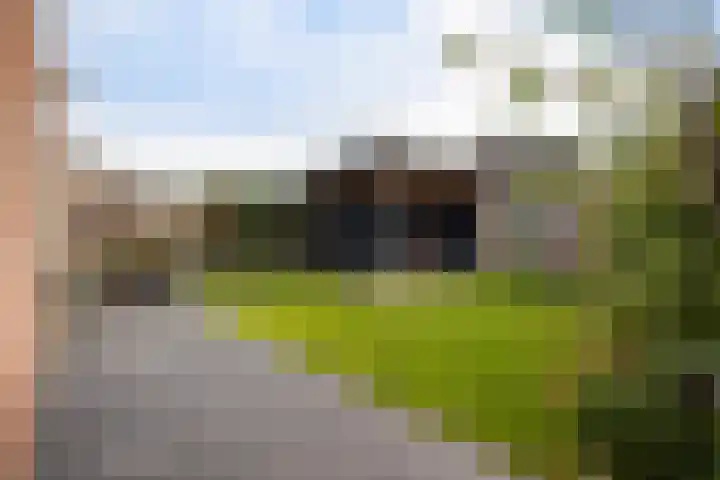 Hertenlaan 18 Assen thumbnail 34