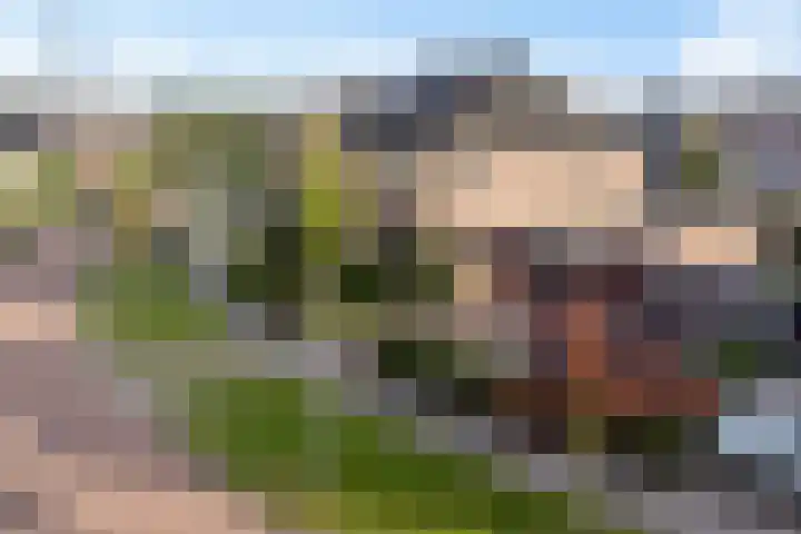 Hertenlaan 18 Assen thumbnail 37