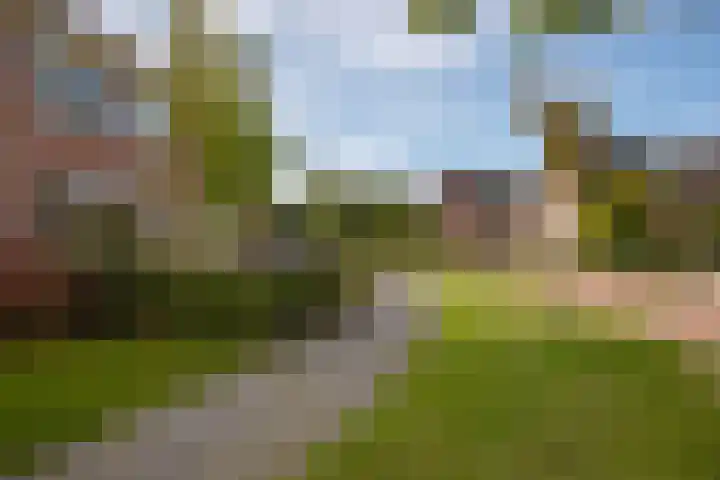 Hertenlaan 18 Assen thumbnail 8