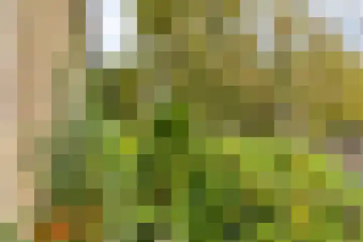 Hertenlaan 19 Haren Gn thumbnail 26