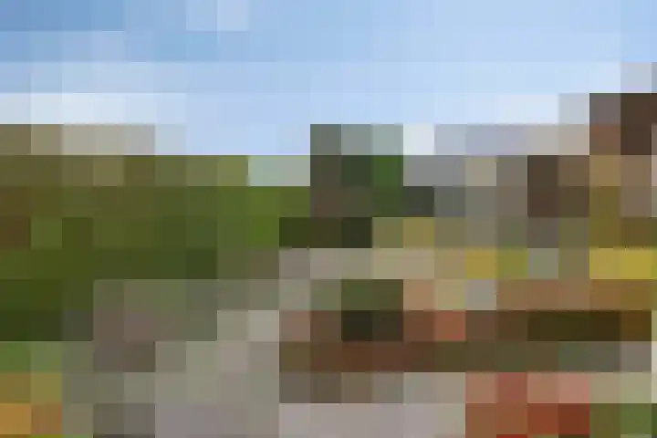 Hertenlaan 19 Haren Gn thumbnail 37