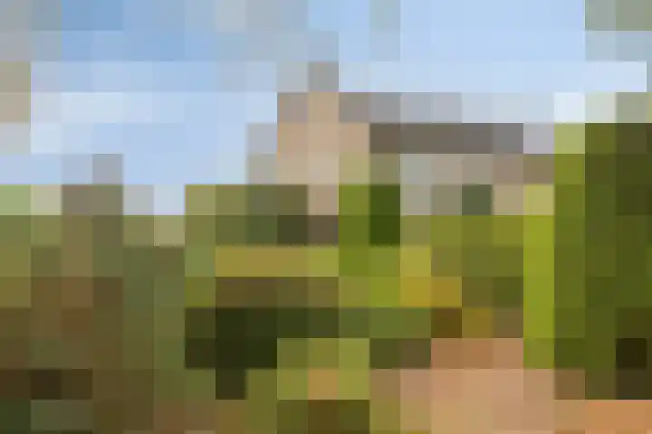 Hertenlaan 19 Haren Gn thumbnail 41