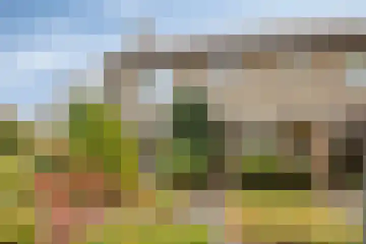 Hertenlaan 19 Haren Gn thumbnail 8