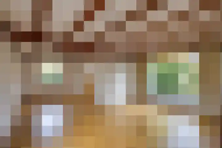 Hertenlaan 19 Hoeven thumbnail 10