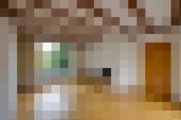 Hertenlaan 19 Hoeven thumbnail 11