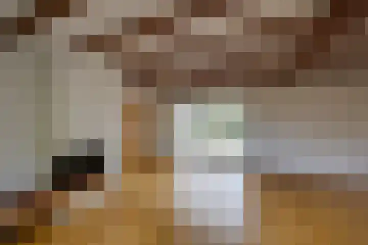 Hertenlaan 19 Hoeven thumbnail 12