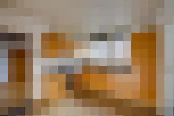 Hertenlaan 19 Hoeven thumbnail 14