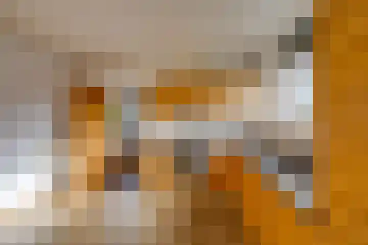 Hertenlaan 19 Hoeven thumbnail 15