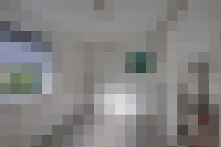Hertenlaan 19 Hoeven thumbnail 16