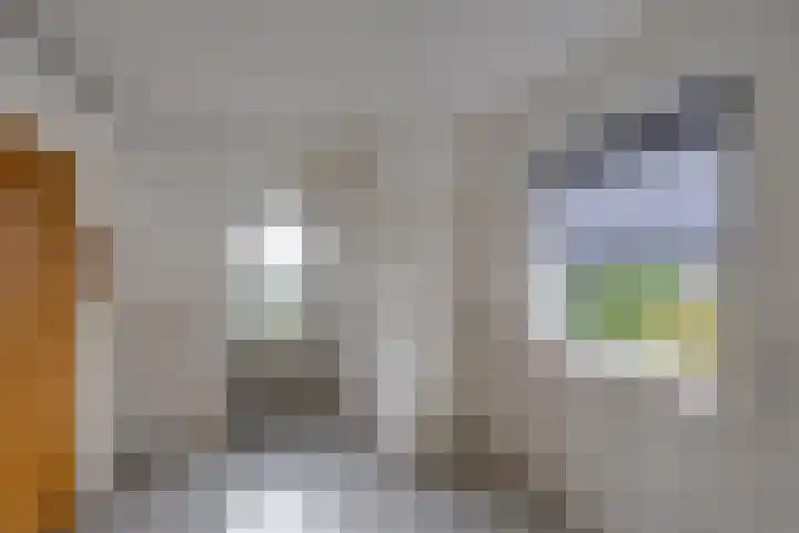 Hertenlaan 19 Hoeven thumbnail 17