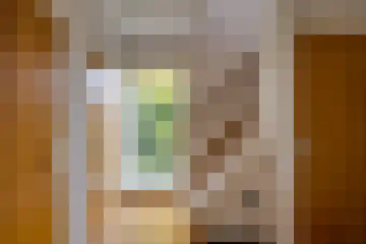 Hertenlaan 19 Hoeven thumbnail 18