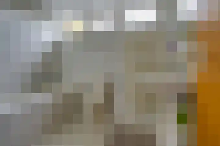 Hertenlaan 19 Hoeven thumbnail 25