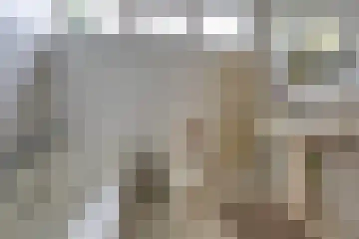 Hertenlaan 19 Hoeven thumbnail 27