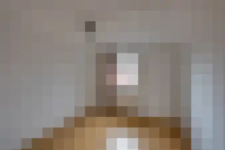 Hertenlaan 19 Hoeven thumbnail 29
