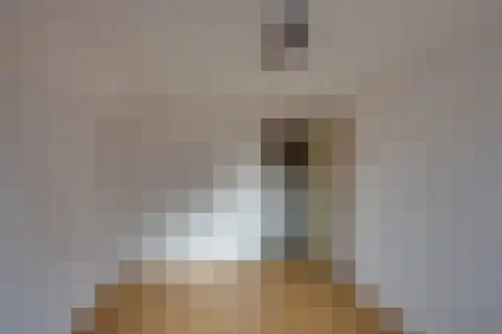 Hertenlaan 19 Hoeven thumbnail 30